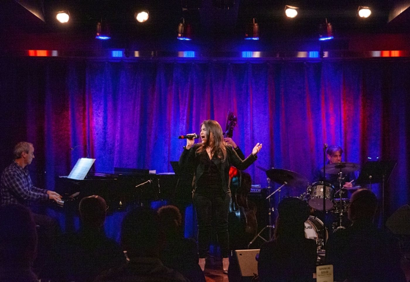 Review: THE LINEUP WITH SUSIE MOSHER at Birdland Theater Retains Its Sparkle After Four Years  Image