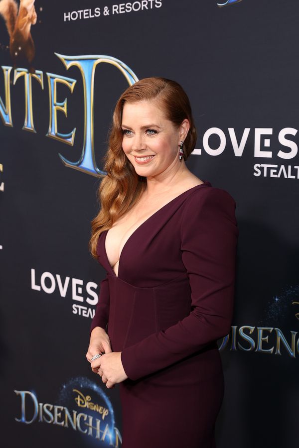 Amy Adams Photo