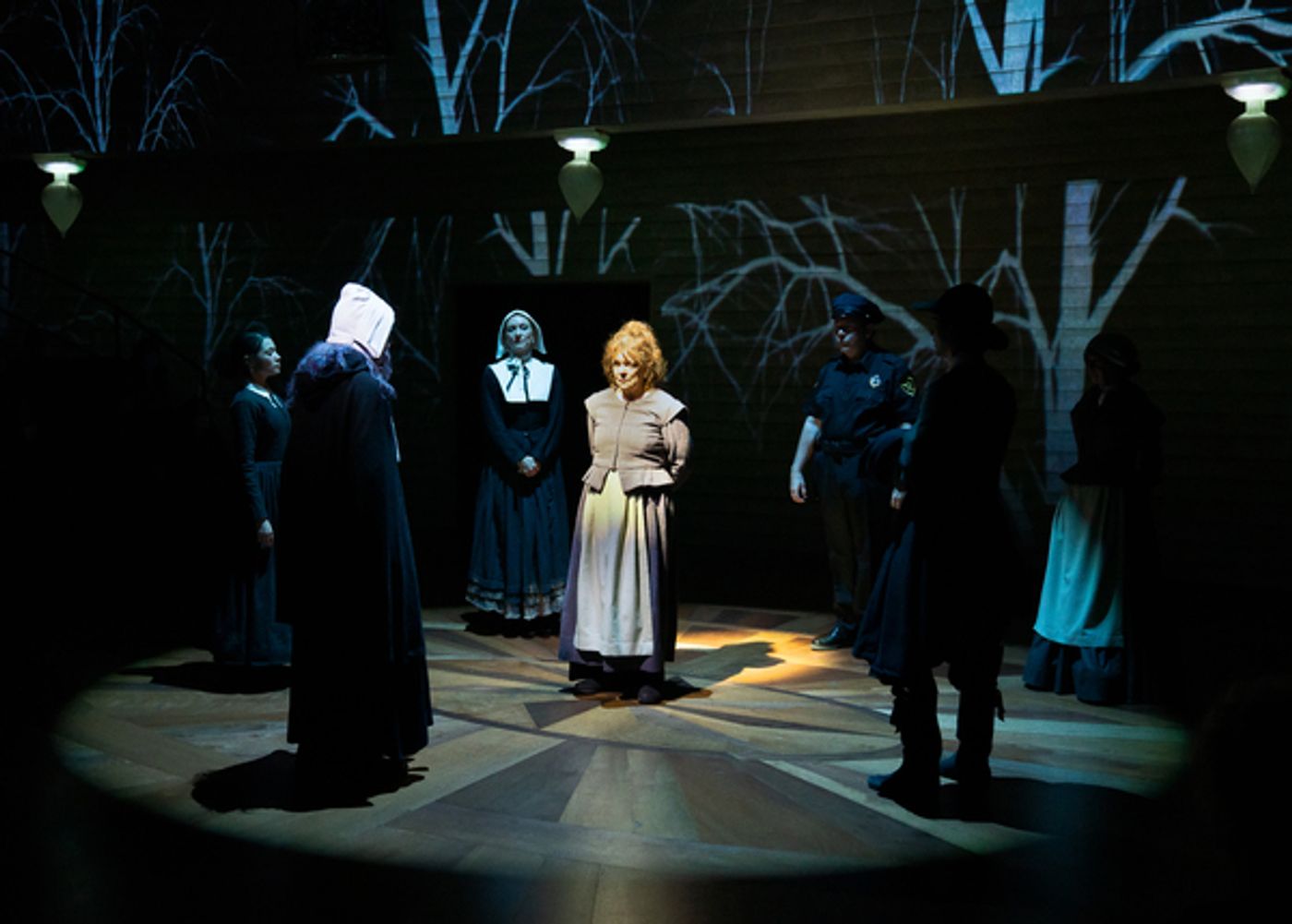 Photos: First Look at Deirdre O'Connell & More in BECKY NURSE OF SALEM at Lincoln Center Theater  Image