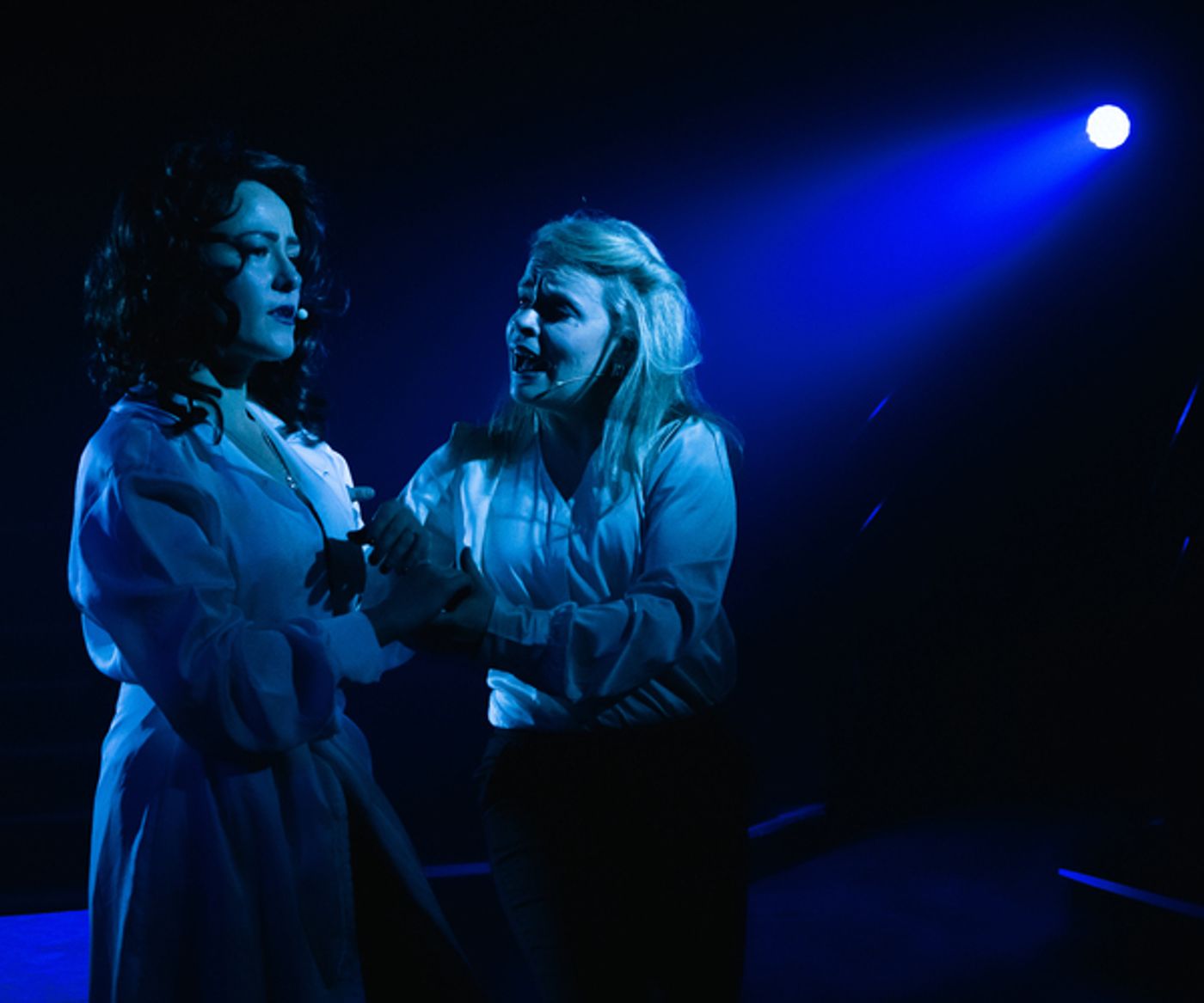 Photos: First Look at Almog Pail and More in LOVE GODDESS, THE RITA HAYWORTH MUSICAL  Image