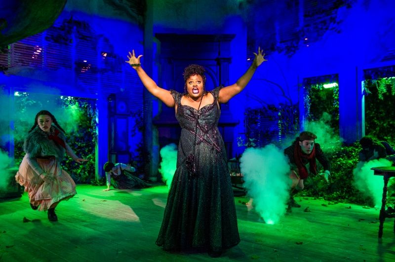 Review: INTO THE WOODS at Signature Theatre Image