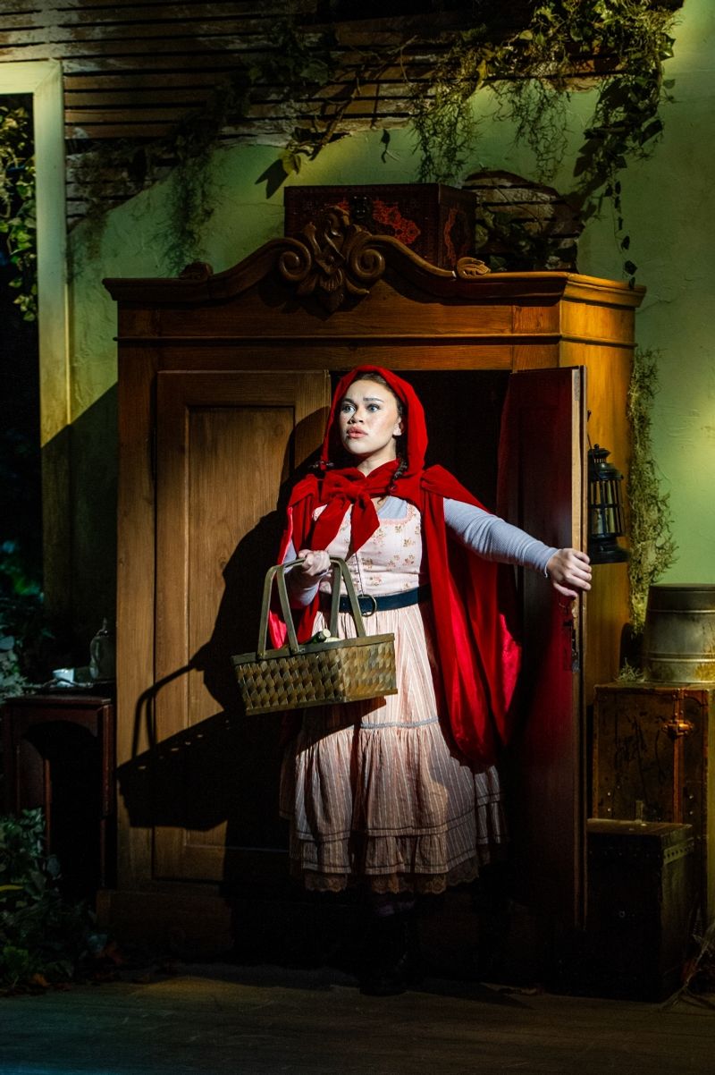 Review: INTO THE WOODS at Signature Theatre Image