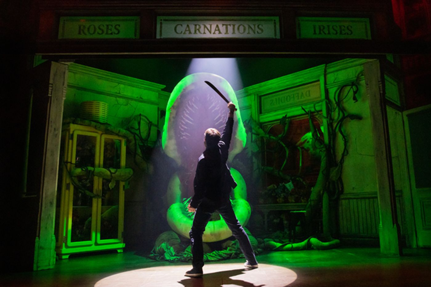 Photos: First Look at Matt Doyle as 'Seymour' in LITTLE SHOP OF HORRORS  Image