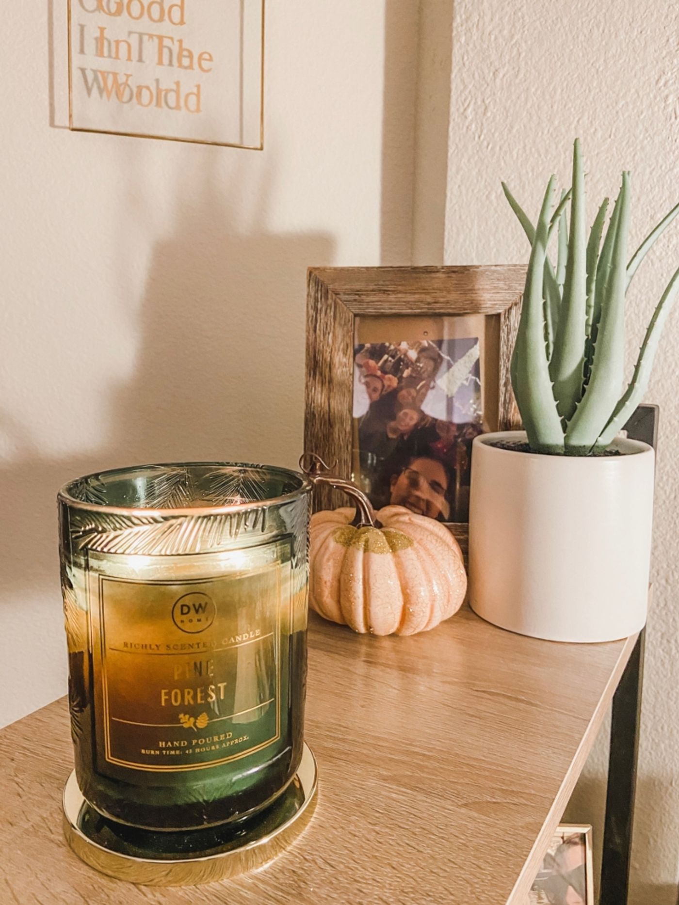 Student Blog: How to Succeed in College Without Really Trying  Image