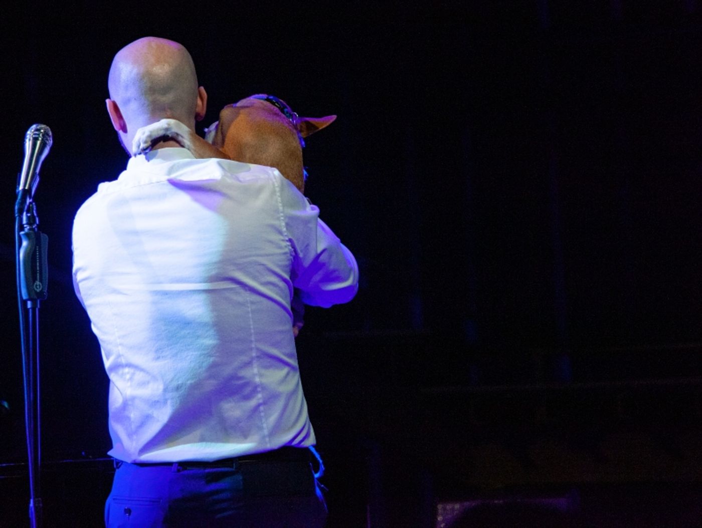 Review: ARI AXELROD'S ALBUM RELEASE CONCERT at Chelsea Table + Stage Showcases Show Business Excellence  Image