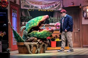 Phil Wong @ BroadwayWorld Phil Wong Photo