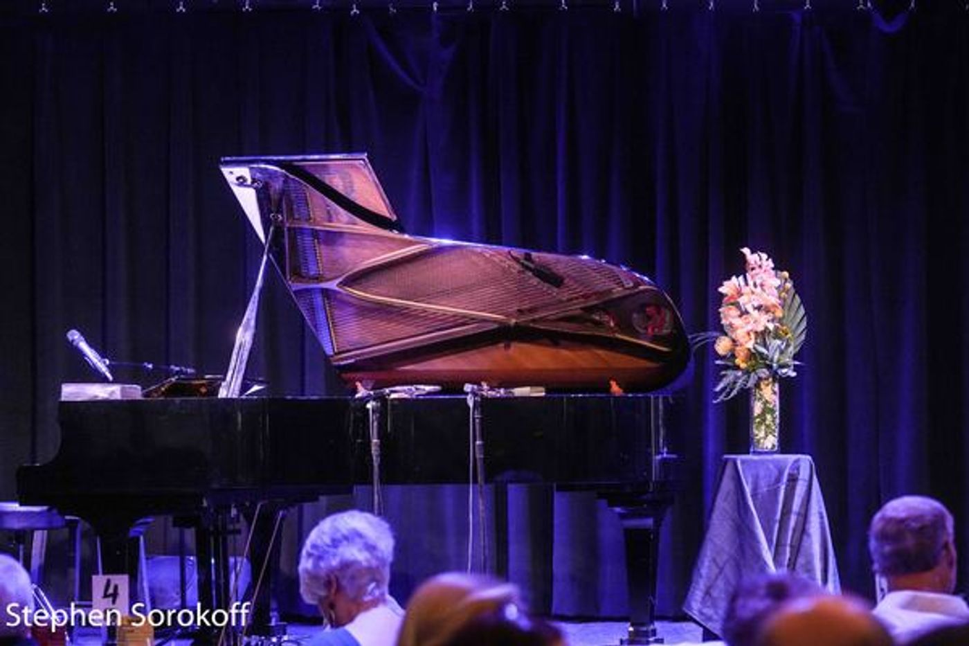 Photos: ​​​​​​Ann Hampton Callaway Parks Her Talents in the Arts Garage  Image