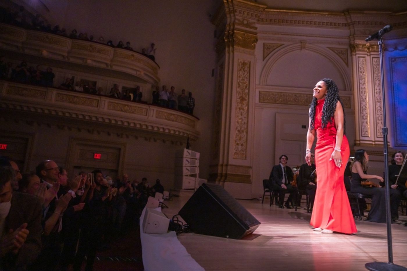 Review: AUDRA MCDONALD Gives Grace And Has Fun At Carnegie Hall  Image