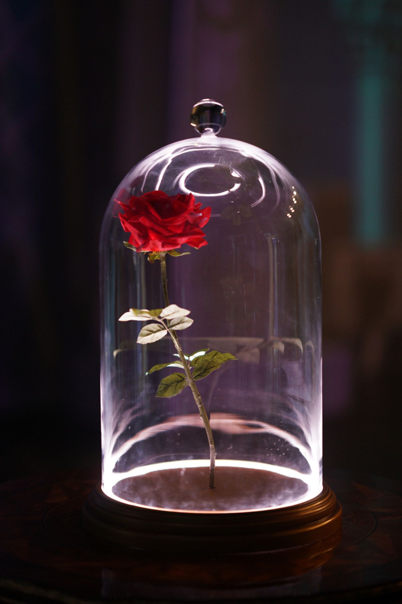 Photos: Inside BEAUTY & THE BEAST: A 3OTH CELEBRATION Rehearsals  Image