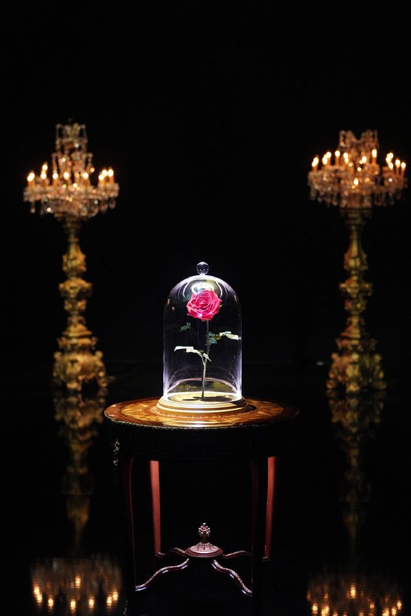 Photos: Inside BEAUTY & THE BEAST: A 3OTH CELEBRATION Rehearsals — photo 16 of 25