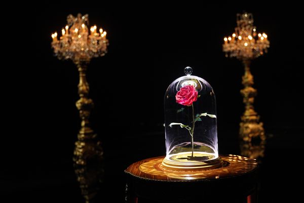 Photos: Inside BEAUTY & THE BEAST: A 3OTH CELEBRATION Rehearsals — photo 15 of 25