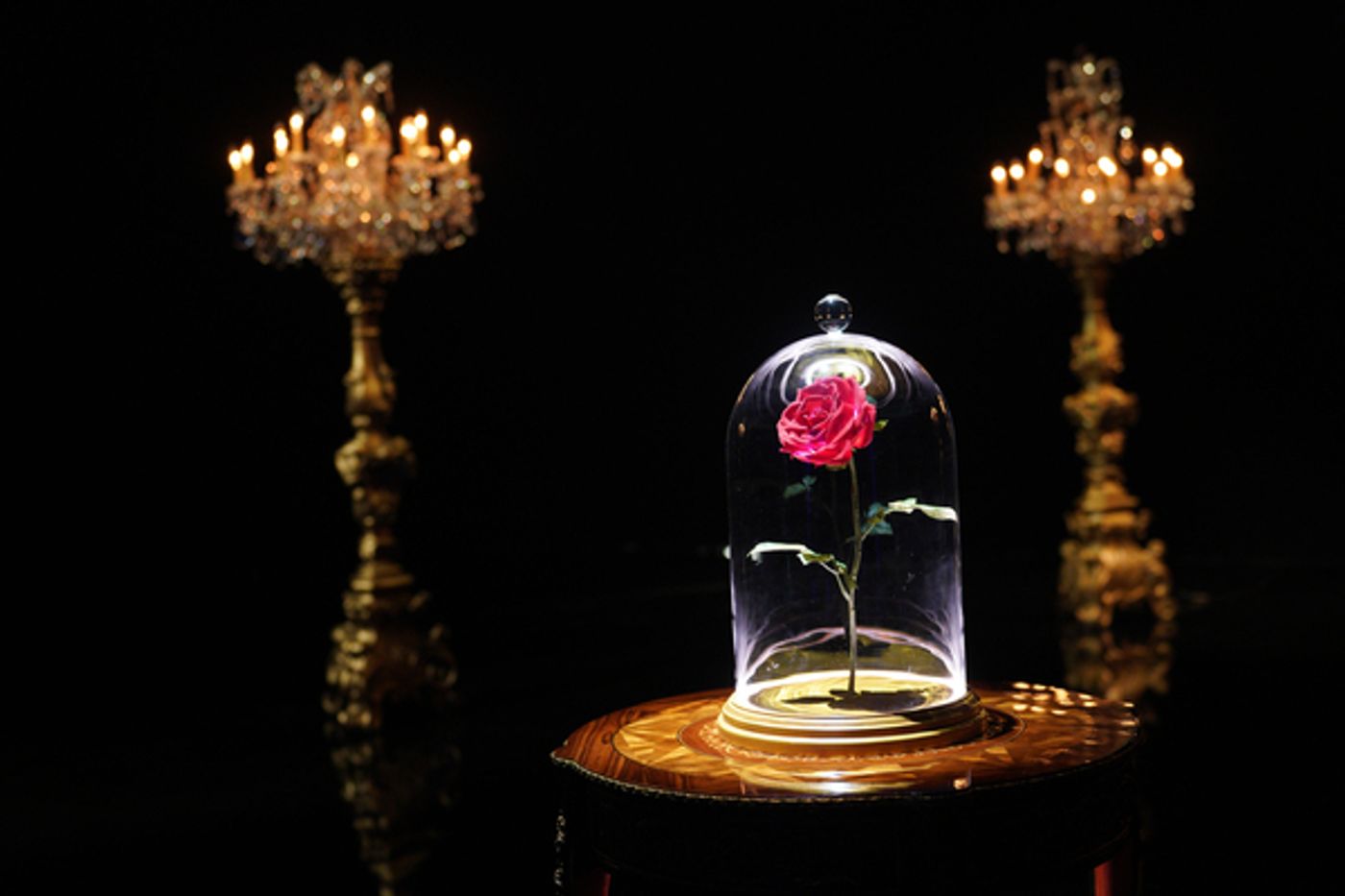 Photos: Inside BEAUTY & THE BEAST: A 3OTH CELEBRATION Rehearsals  Image