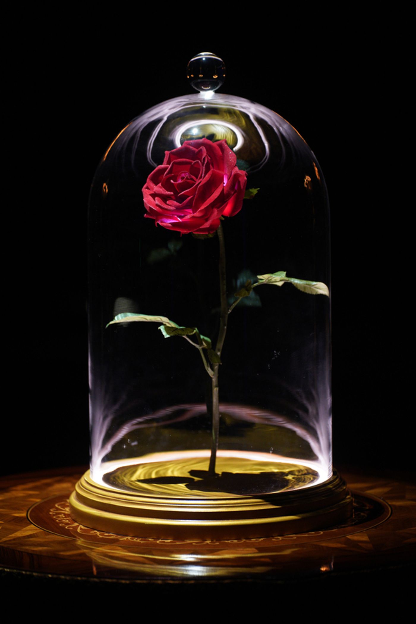 Photos: Inside BEAUTY & THE BEAST: A 3OTH CELEBRATION Rehearsals  Image