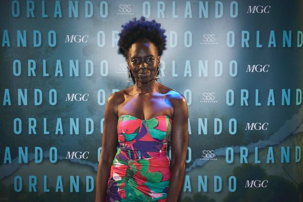 Photos: On the Red Carpet at Opening Night of ORLANDO at the Garrick Theatre — photo 1 of 25