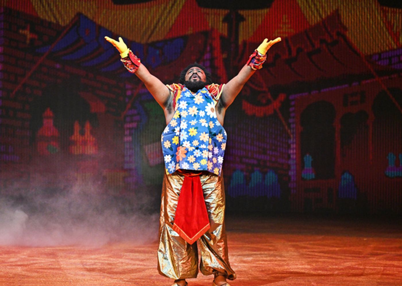 Photos & Video: First Look at ALADDIN Panto at Wolverhampton Grand Theatre  Image