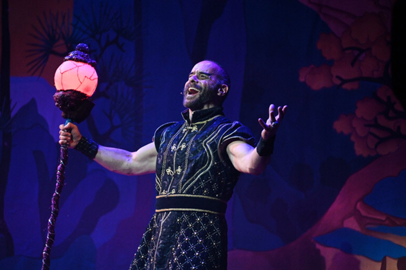 Photos & Video: First Look at ALADDIN Panto at Wolverhampton Grand Theatre  Image