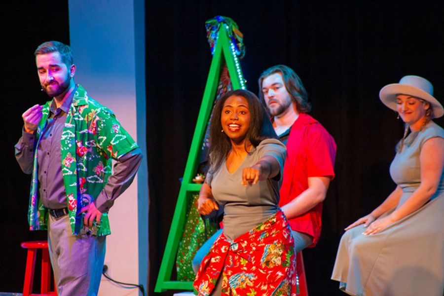 Photos: SNOWBIRD FOLLIES Opens At Music & Arts Community Center Image