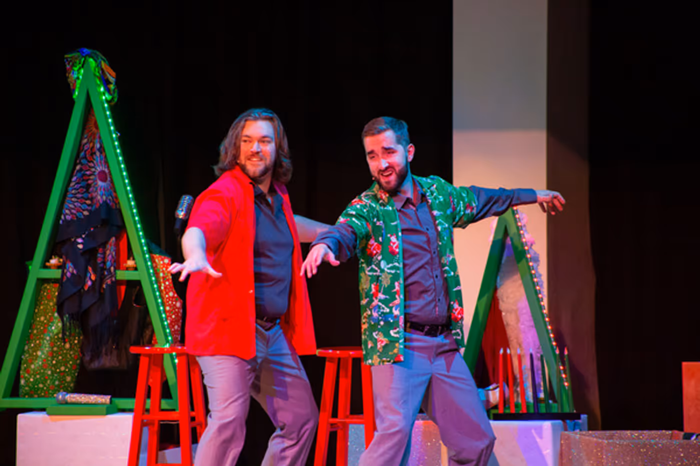 Photos: SNOWBIRD FOLLIES Opens At Music & Arts Community Center  Image
