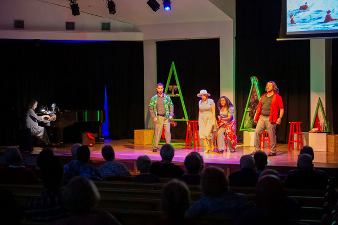 Photos: SNOWBIRD FOLLIES Opens At Music & Arts Community Center  Image