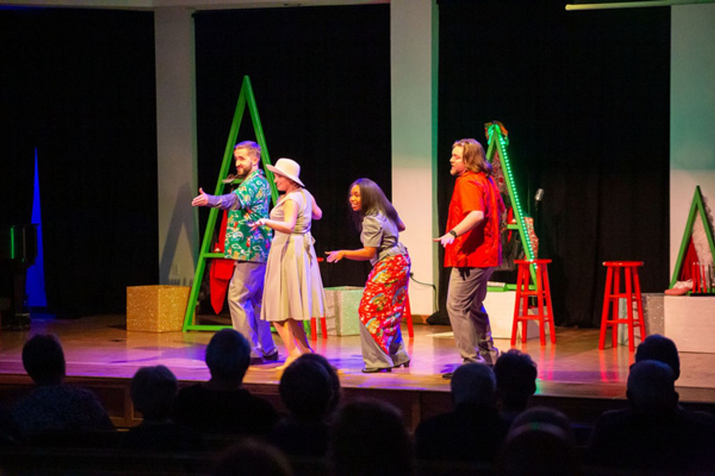 Photos: SNOWBIRD FOLLIES Opens At Music & Arts Community Center  Image