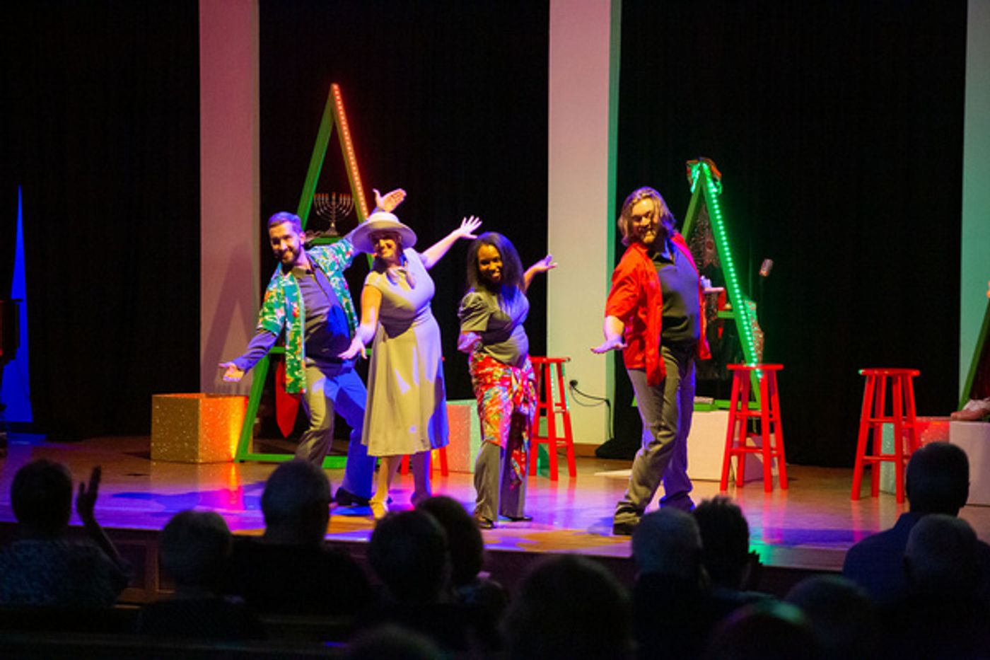 Photos: SNOWBIRD FOLLIES Opens At Music & Arts Community Center  Image