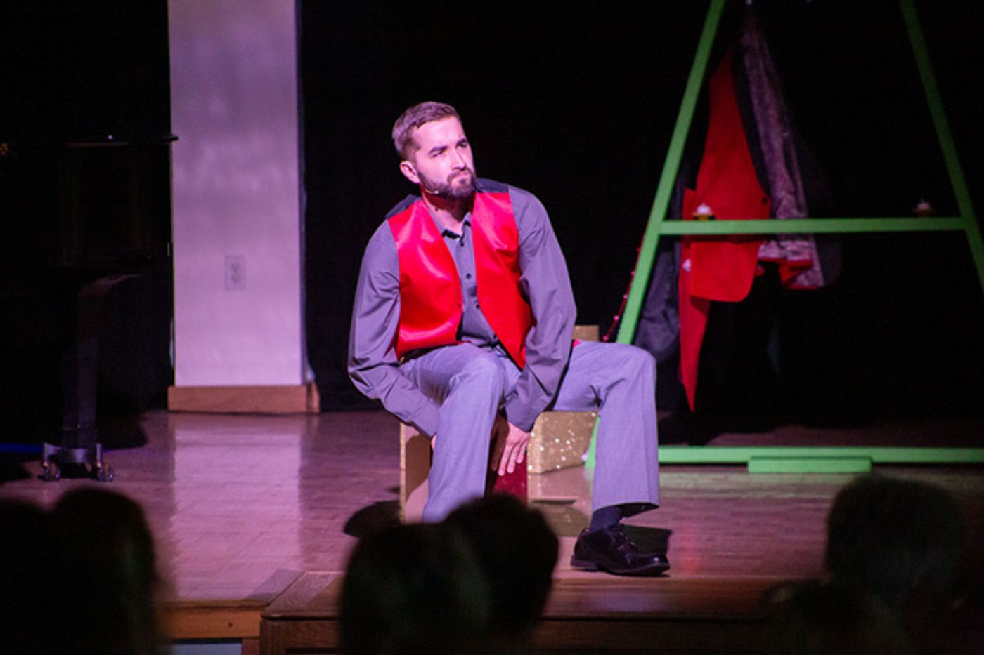Photos: SNOWBIRD FOLLIES Opens At Music & Arts Community Center  Image