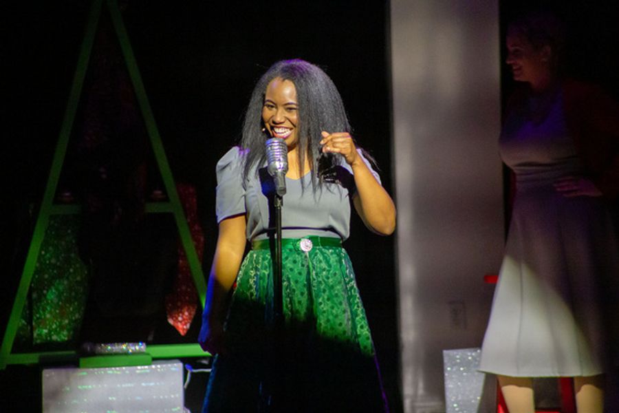 Photos: SNOWBIRD FOLLIES Opens At Music & Arts Community Center Image