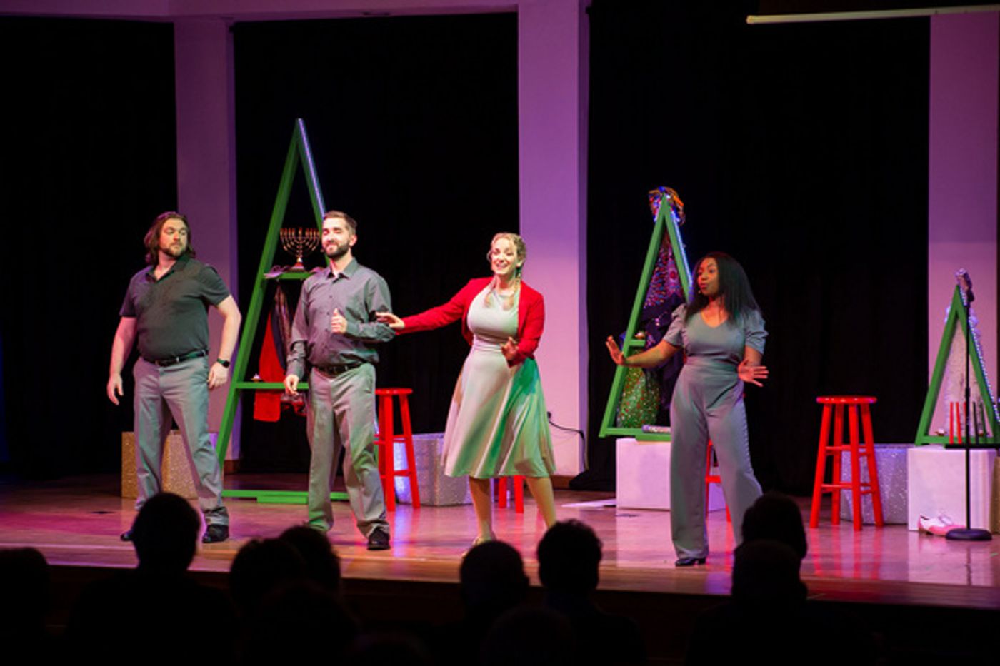 Photos: SNOWBIRD FOLLIES Opens At Music & Arts Community Center  Image