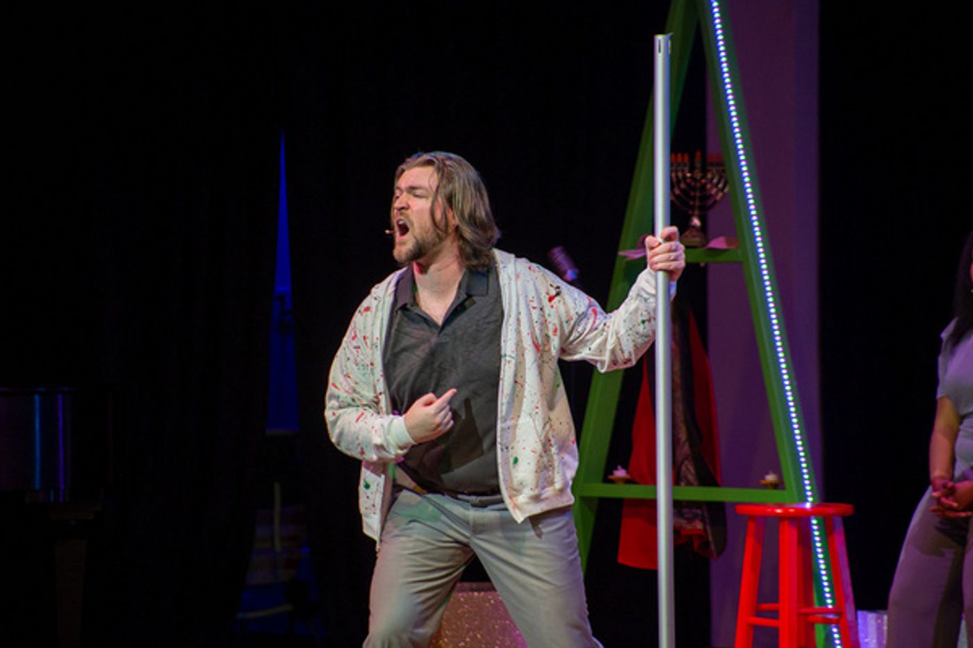 Photos: SNOWBIRD FOLLIES Opens At Music & Arts Community Center  Image