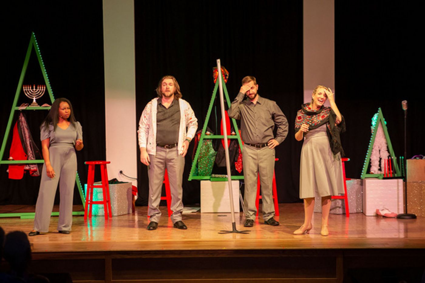 Photos: SNOWBIRD FOLLIES Opens At Music & Arts Community Center  Image