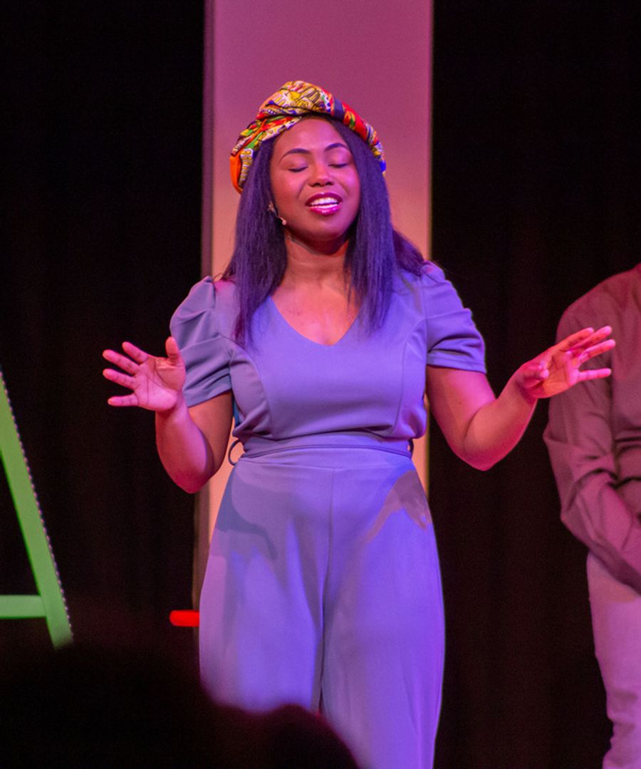 Photos: SNOWBIRD FOLLIES Opens At Music & Arts Community Center Image