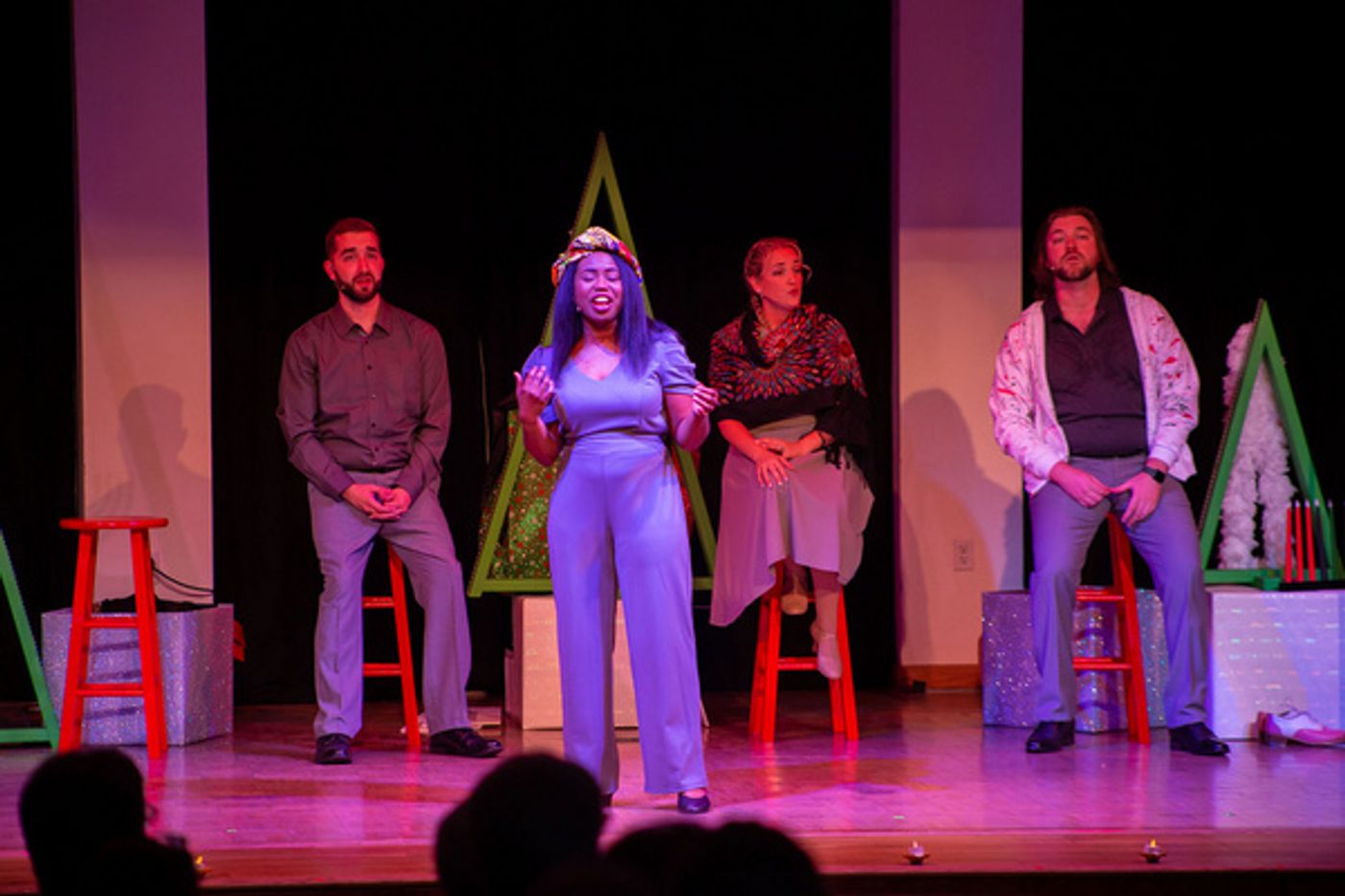 Photos: SNOWBIRD FOLLIES Opens At Music & Arts Community Center  Image