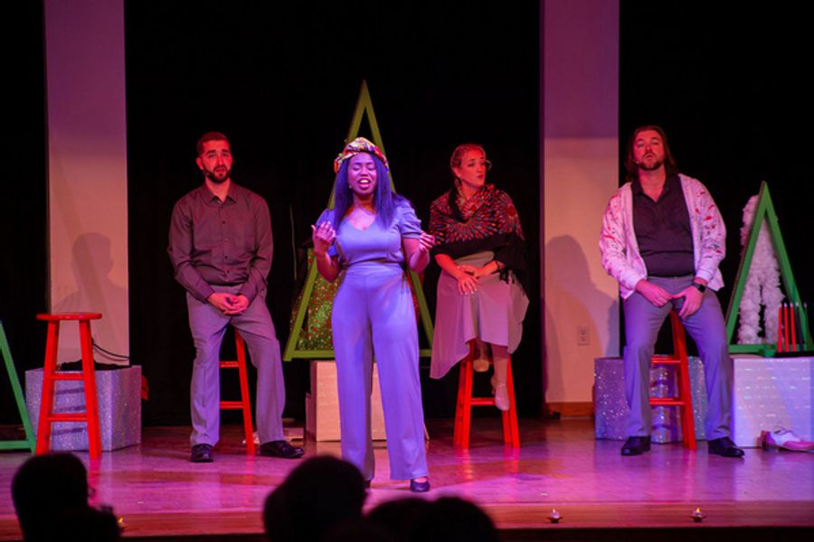 Photos: SNOWBIRD FOLLIES Opens At Music & Arts Community Center Image