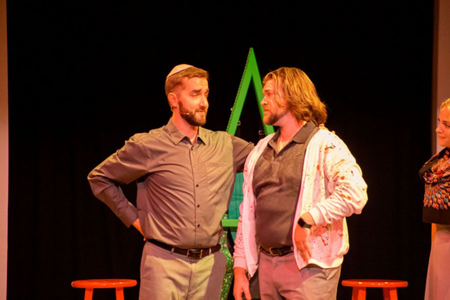 Photos: SNOWBIRD FOLLIES Opens At Music & Arts Community Center Image