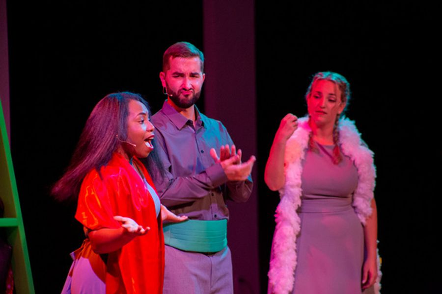 Photos: SNOWBIRD FOLLIES Opens At Music & Arts Community Center Image