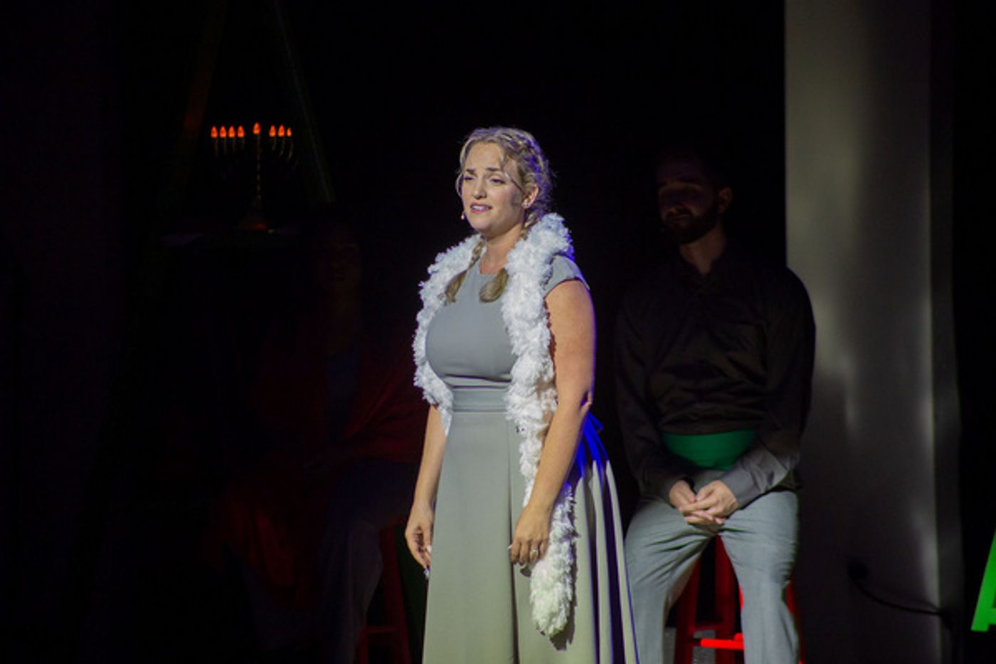 Photos: SNOWBIRD FOLLIES Opens At Music & Arts Community Center  Image