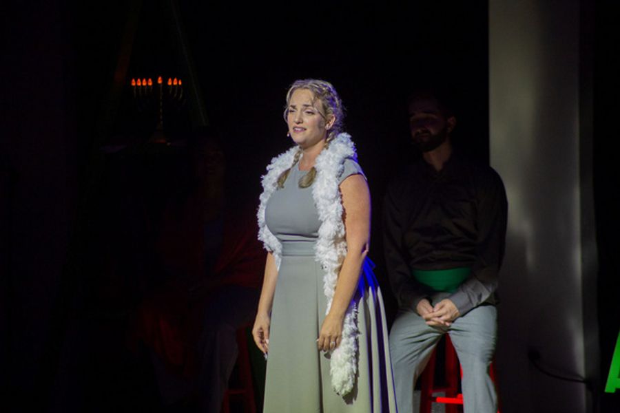 Photos: SNOWBIRD FOLLIES Opens At Music & Arts Community Center Image