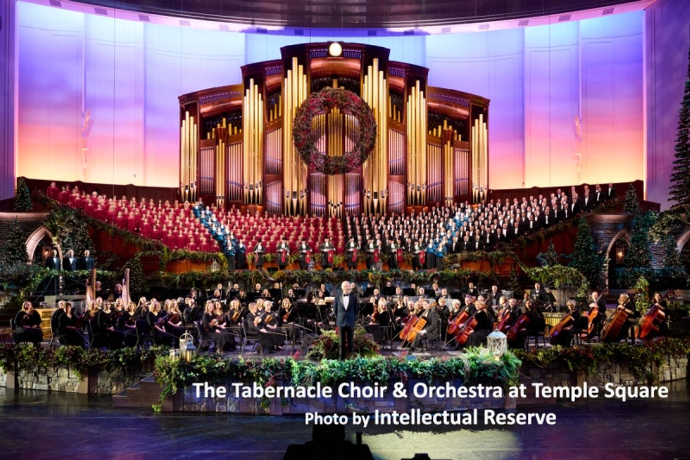 Interview: SMASH-ing Broadway Baby Megan Hilty Talks Caroling with The Tabernacle Choir & Neal McDonough  Image