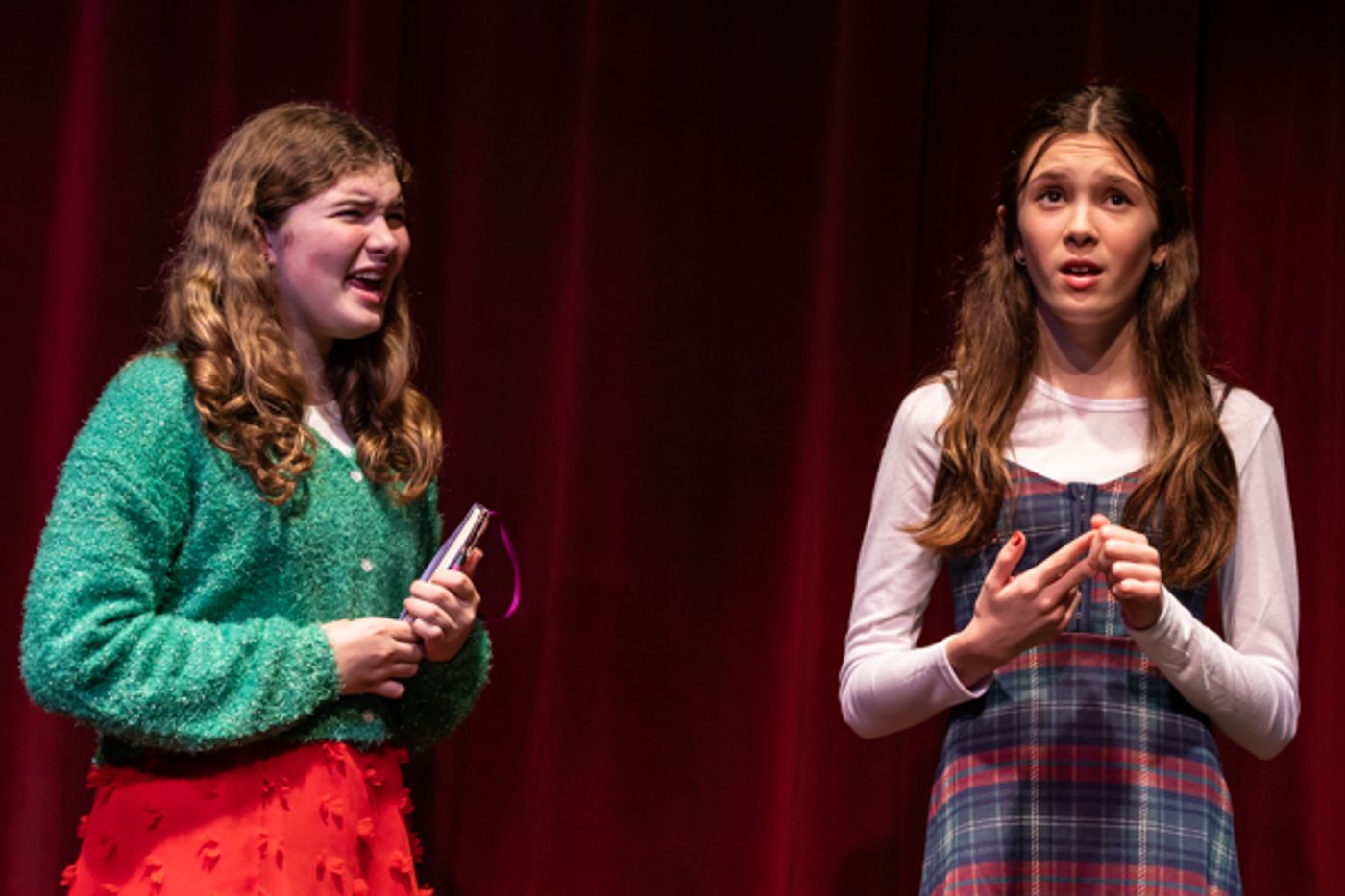 Photos: First look at Worthington Community Theatre's THE BEST CHRISTMAS PAGEANT EVER!  Image