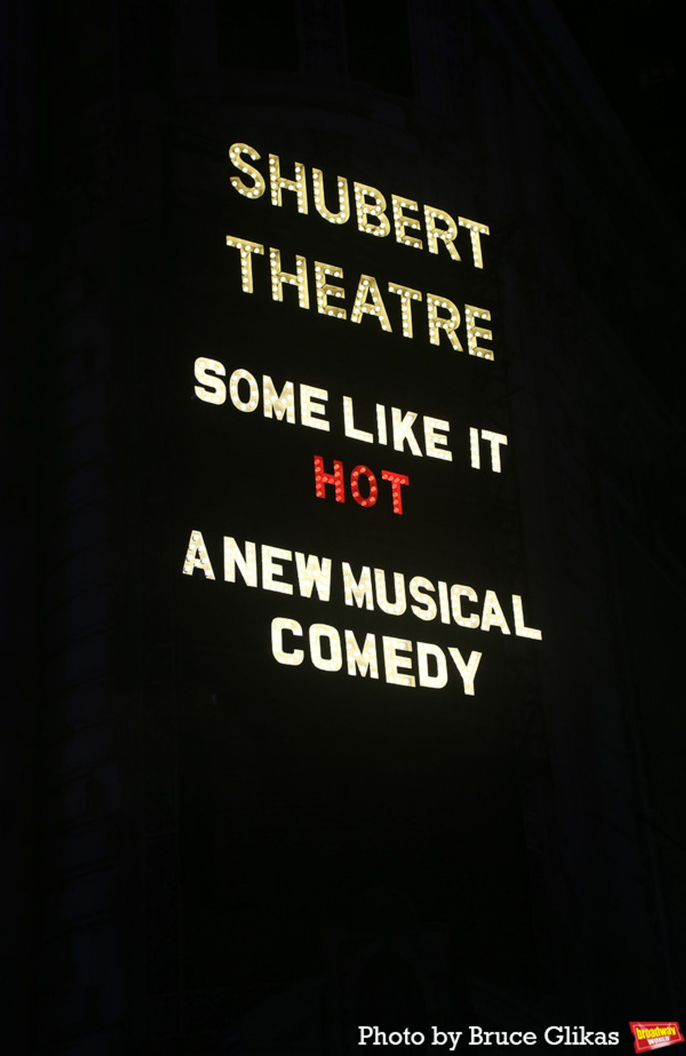 Photos: The Cast of SOME LIKE IT HOT Takes Their Opening Night Bows  Image