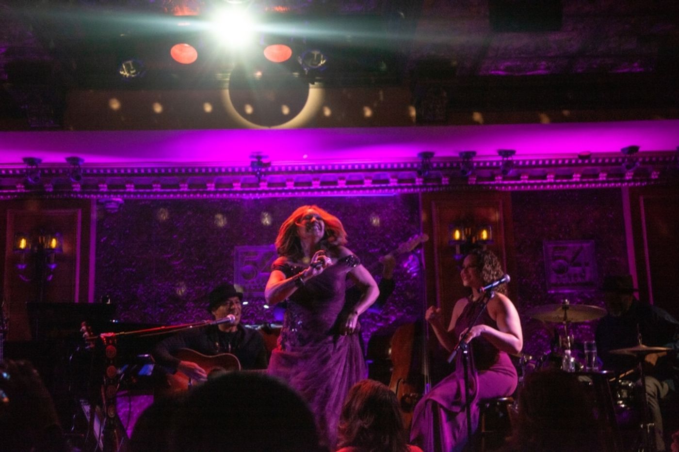 Review: Vanessa Williams Makes THE DIAMOND SERIES At 54 Below Shine Bright As The Biggest Star In The Sky  Image