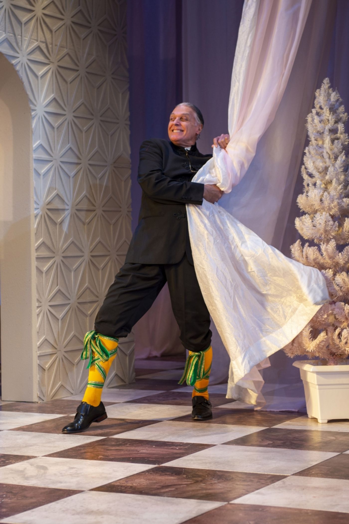 Review: TWELFTH NIGHT at The Shakespeare Theatre of New Jersey is Ideal to Celebrate the Season  Image