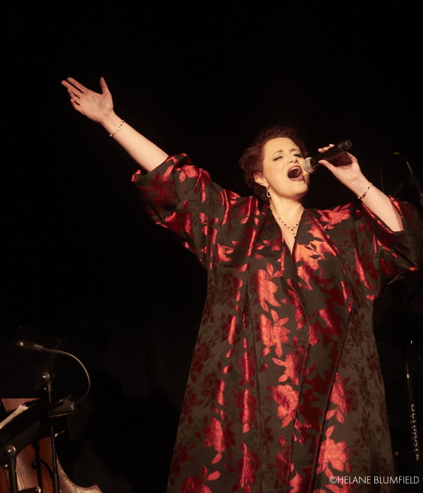 Photos: Regina Zona and Sean Harkness In IT MUST HAVE BEEN THE MISTLETOE at The Triad Photos: Regina Zona and Sean Harkness In IT MUST HAVE BEEN THE MISTLETOE at The Triad Image