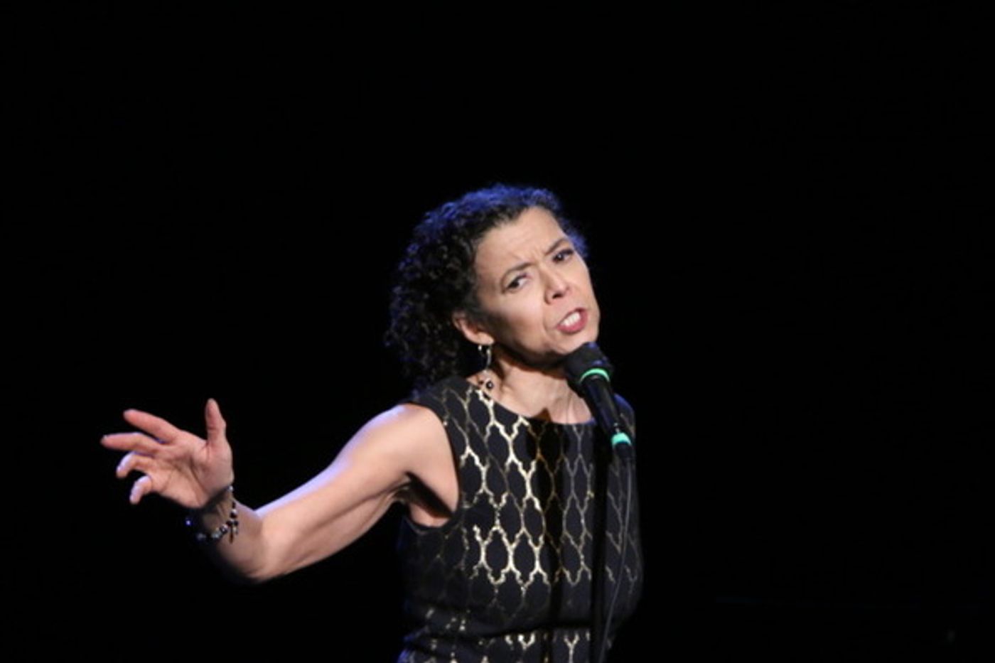 Photos: Randie Levine-Miller Hosts SHOWSTOPPER DIVAS To Benefit Urban Stages  Image