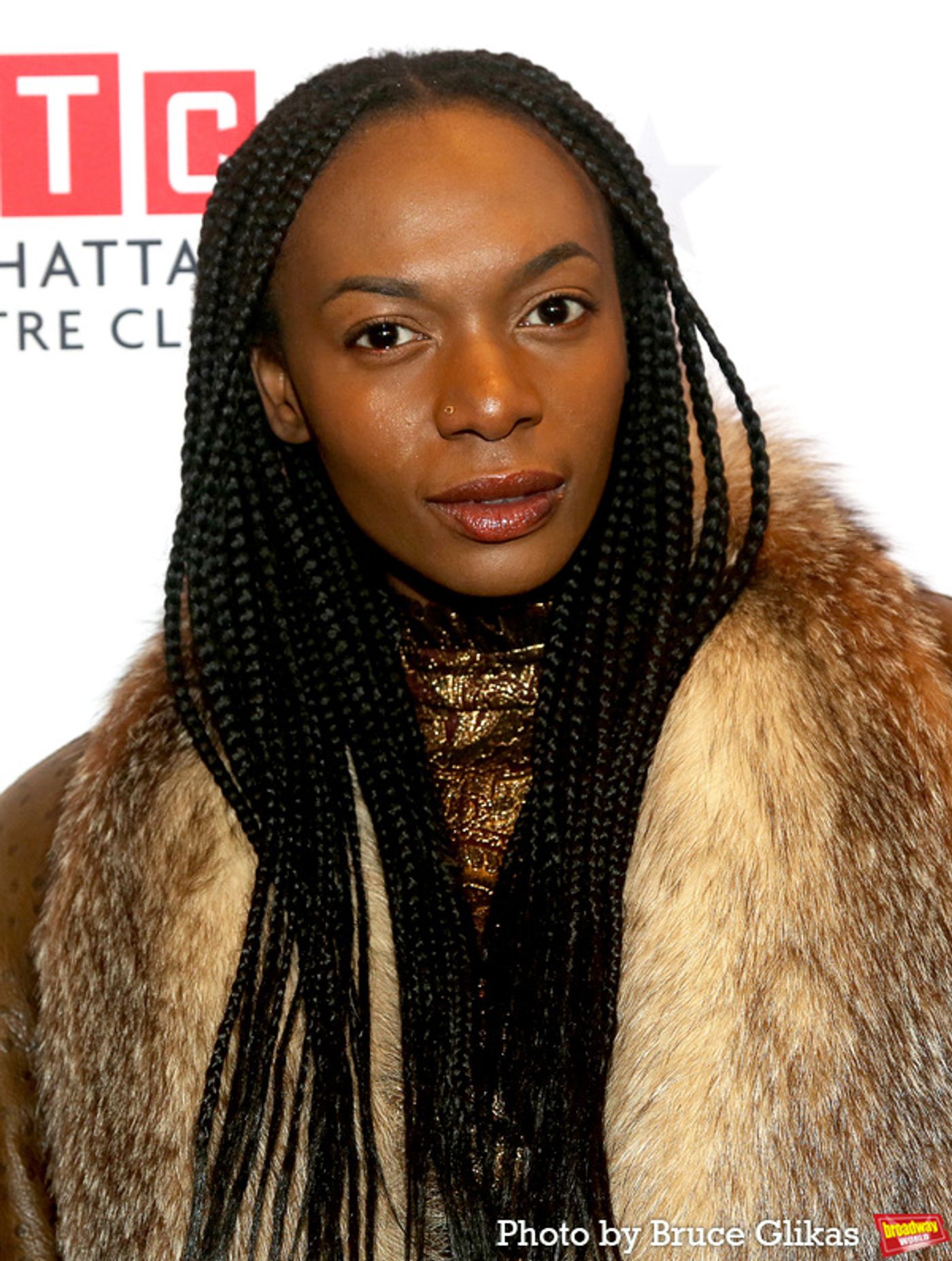 Photos: On the Red Carpet at Opening Night of THE COLLABORATION Ahead of Cancelled Performance  Image