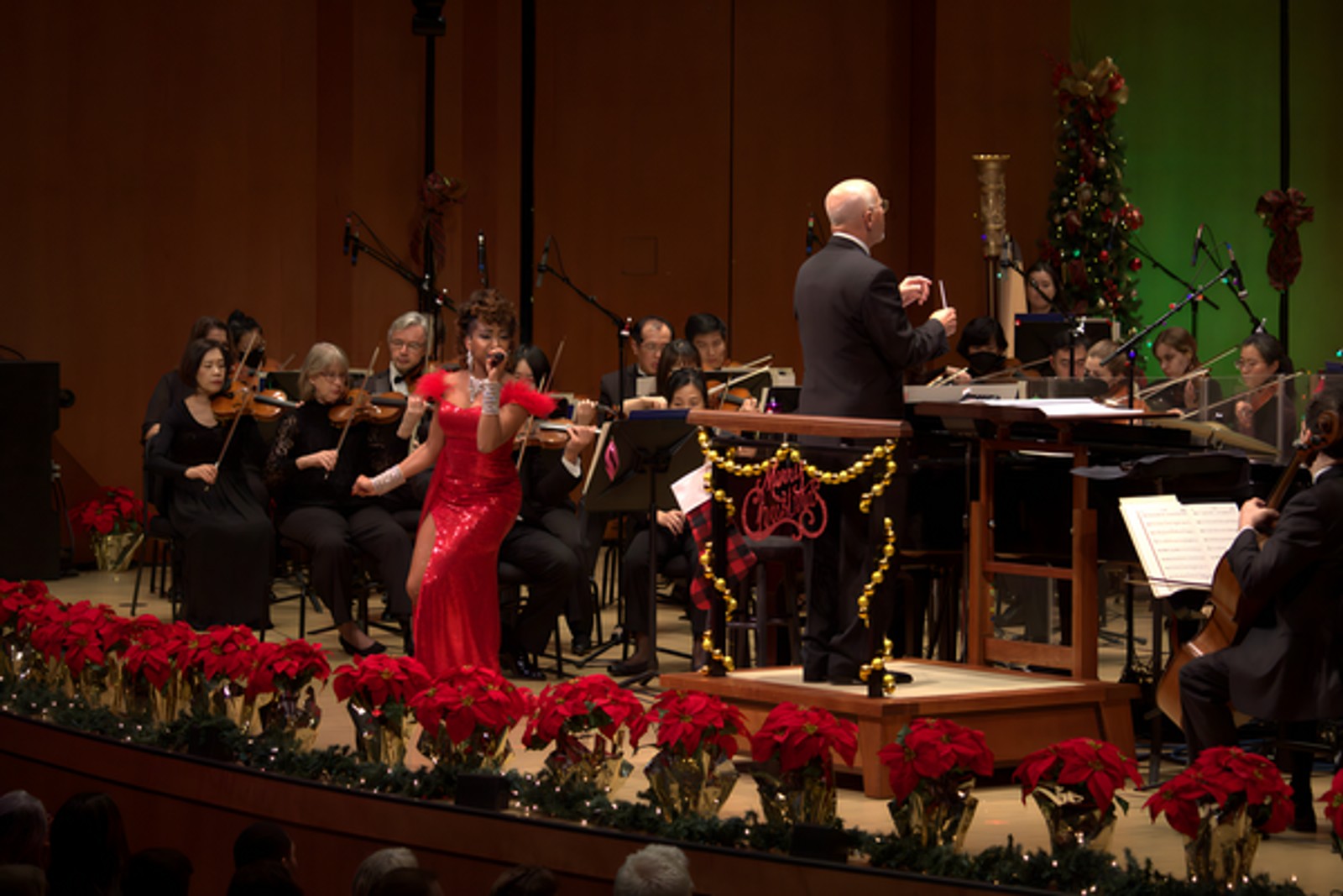 Photos: Broadway & Opera Star N'Kenge Dazzles With Houston Symphony In A VERY MERRY POPS — photo 7 of 17
