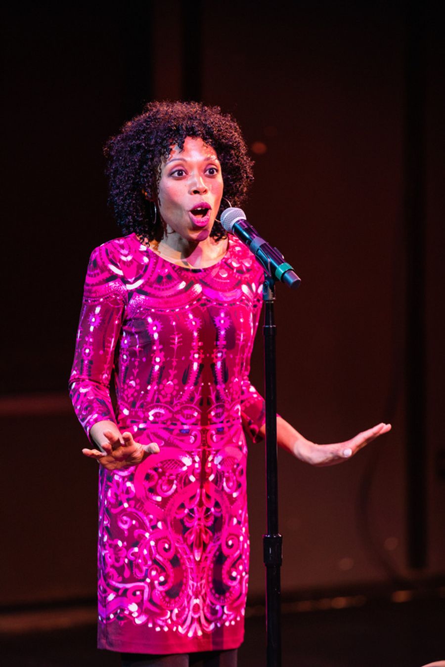 Photos: First Look At PAAL's CAREGIVER CABARET Image