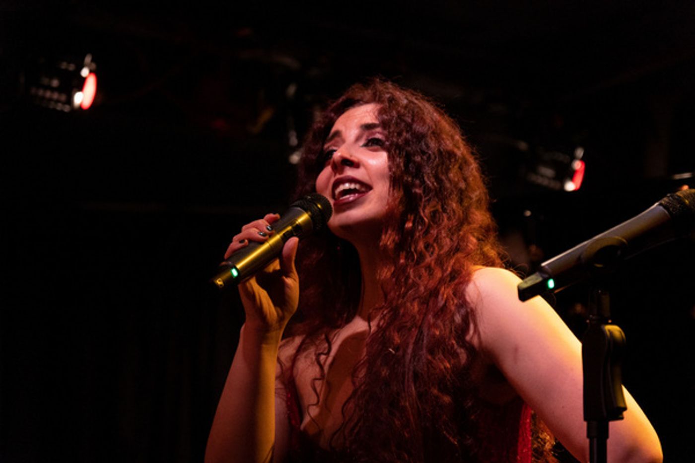 Photos: Go Inside A VERY HARRIS CHRISTMAS at Don't Tell Mama  Image