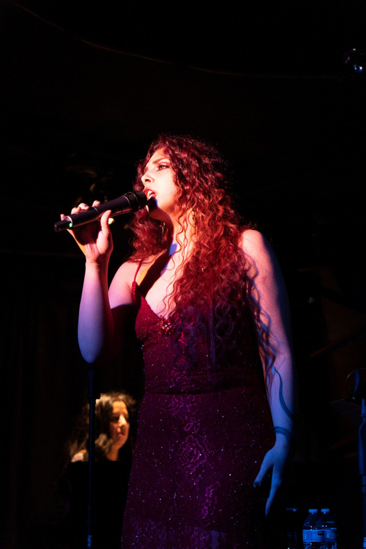 Photos: Go Inside A VERY HARRIS CHRISTMAS at Don't Tell Mama Photos: Go Inside A VERY HARRIS CHRISTMAS at Don't Tell Mama Image