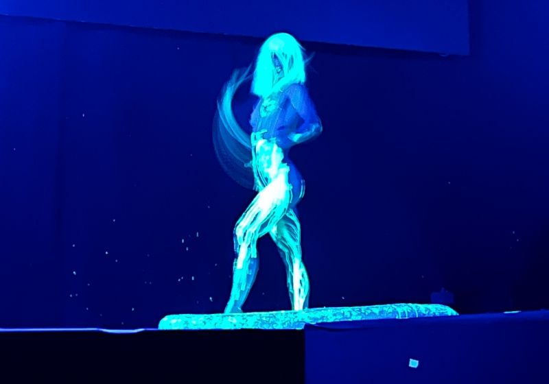 Review: AIROTIC SOIREE at HK Hall Puts Athletes and Artists In Sexy Sequins On Delectable Display Image
